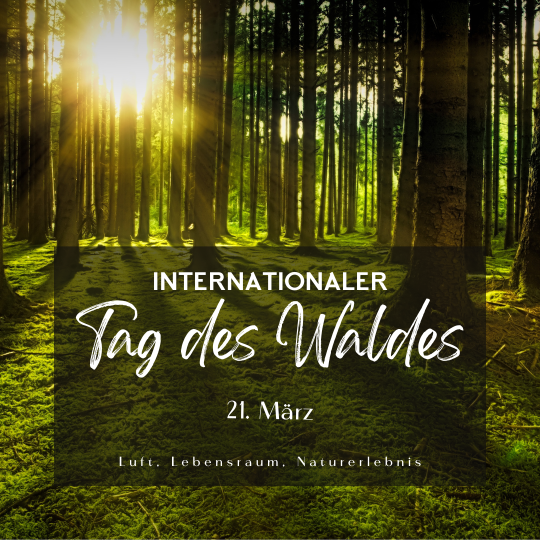 Internationale Tag des Waldes