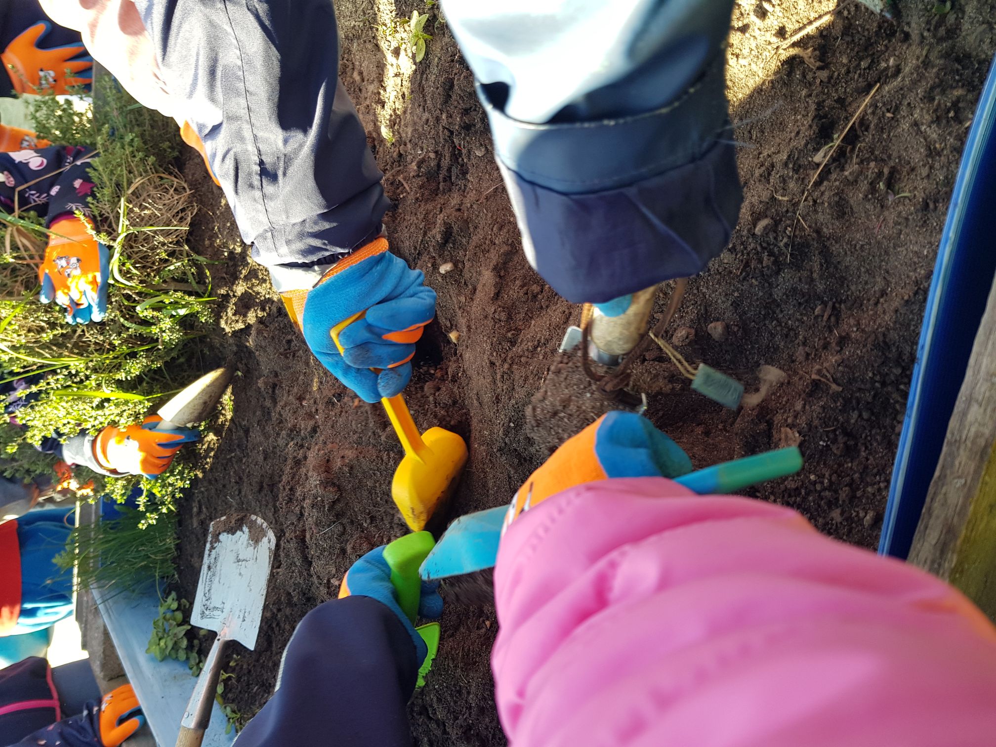 Auswertung unseres Bioprojektes in der Kita Weidenkätzchen in Jävenitz
