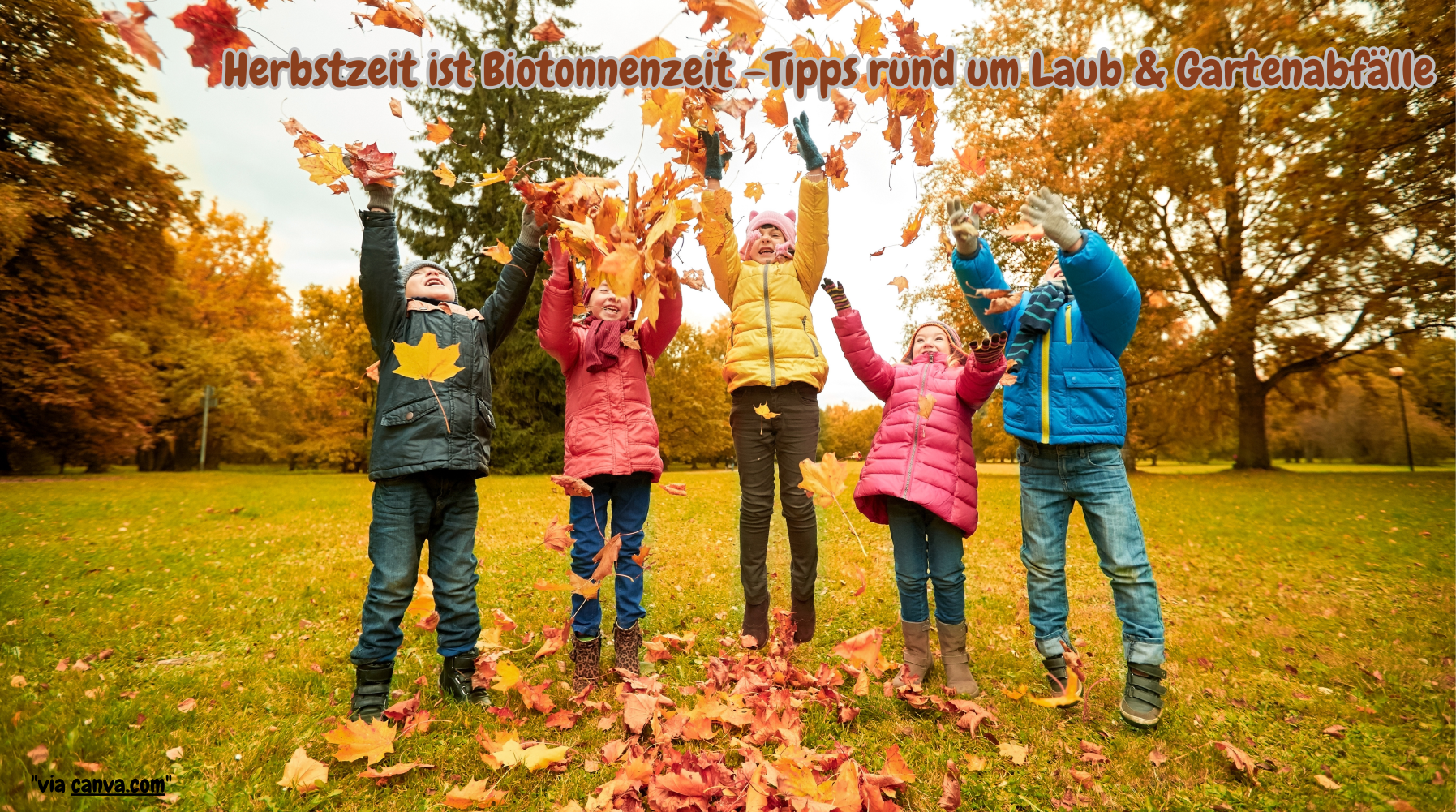 Herbstzeit ist Biotonnenzeit – Tipps rund um Laub & Gartenabfälle