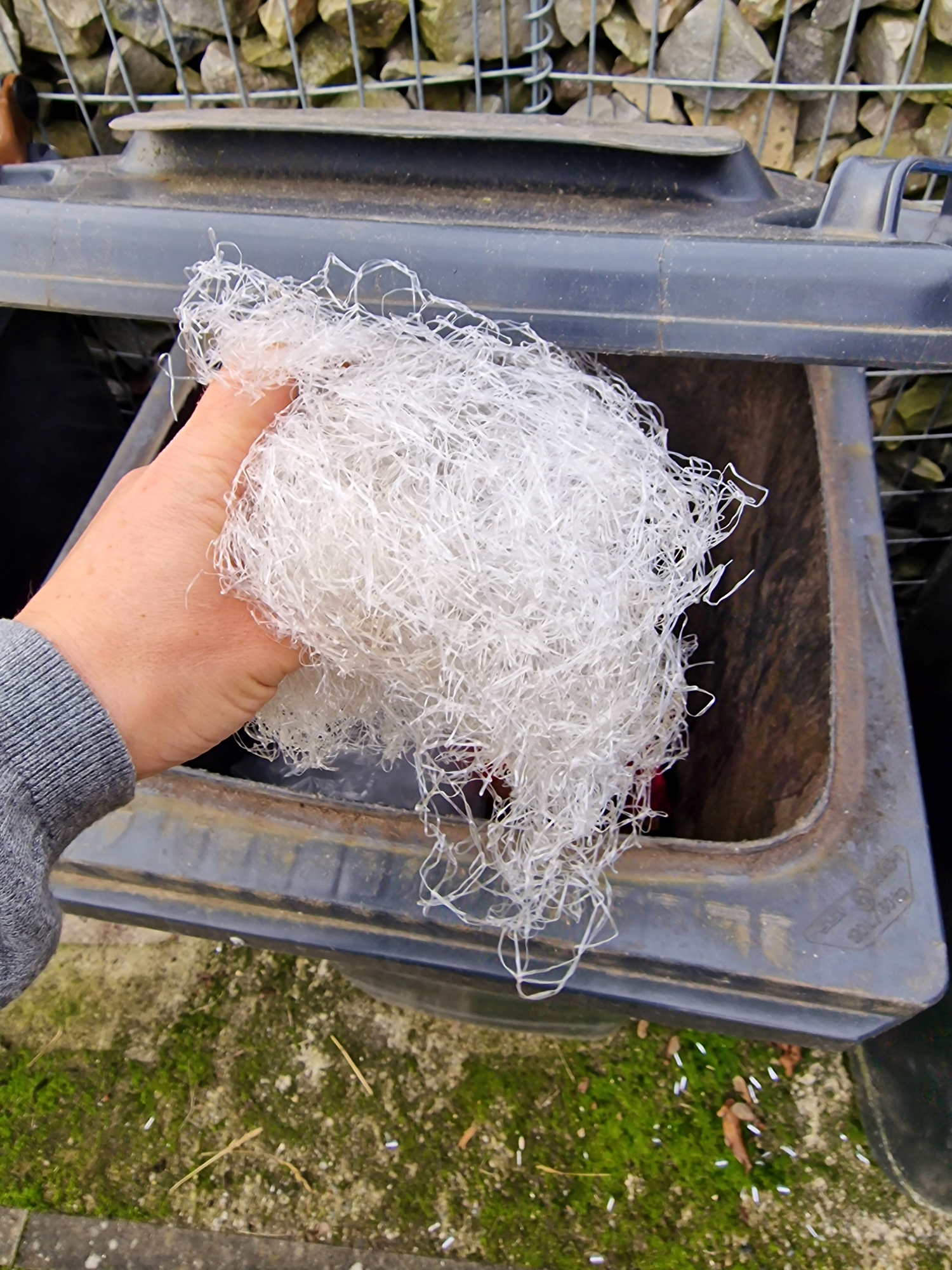 Wohin mit dem Weihnachtsbaumnetz? Tipps zur richtigen Entsorgung