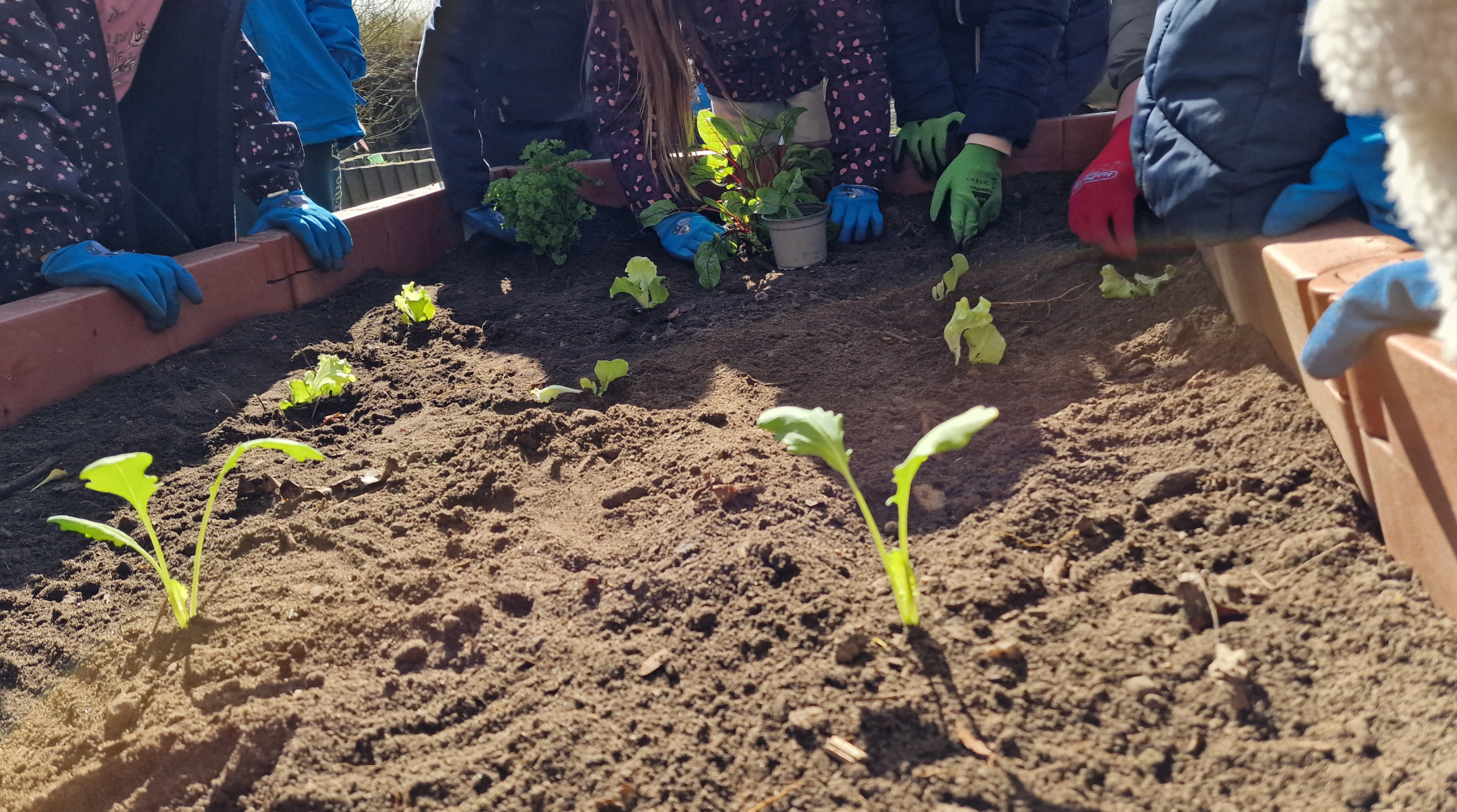 Zu Besuch im Hort Klötze – Lernen, Staunen und Mitmachen rund um das Thema Abfall