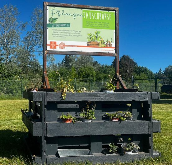 🌿 Unsere Pflanzentauschbörse erstrahlt in neuem Glanz! 🌿